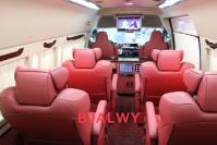 丰田海狮(进口)