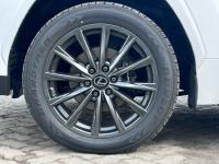 24款 LX600 7座 F-Sport运动