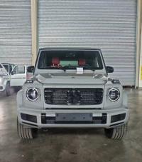 2023款 奔驰G400d