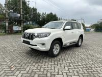 2023款 丰田霸道4000 4.0L EX-R 迪拜版