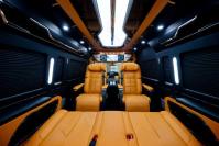 丰田海狮(进口)