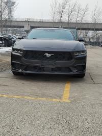 2024款 福特Mustang(野马) 2.3T 自动 硬顶 标准型