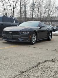 福特Mustang(野马)