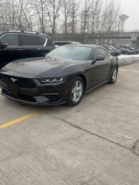 福特Mustang(野马)