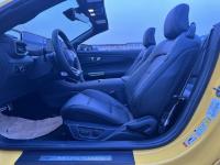 福特Mustang(野马)