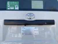 丰田海狮(进口)