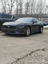 2024款 福特野马 2.3T 自动 标准型