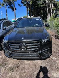 2025款 奔驰GLS450 7座 AMG暗夜包 顶峰包