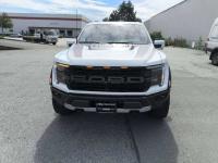 2024款 福特F150(猛禽) 3.5T 四门 Raptor猛禽