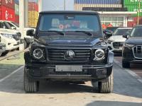 2025款 奔驰G450d