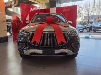 2024款 奔驰迈巴赫GLS600