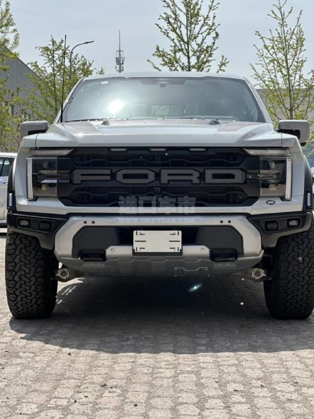 加版2024款 福特F150(猛禽) 3.5T 四门 Raptor猛禽 37性能包