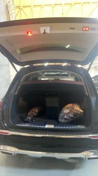 奔驰迈巴赫GLS600