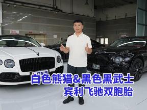 宾利飞驰双胞胎，熊猫版/黑武士版谁更酷