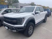 福特f150(猛禽)车型图片