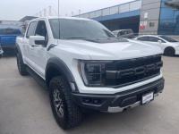 福特f150(猛禽)车型图片